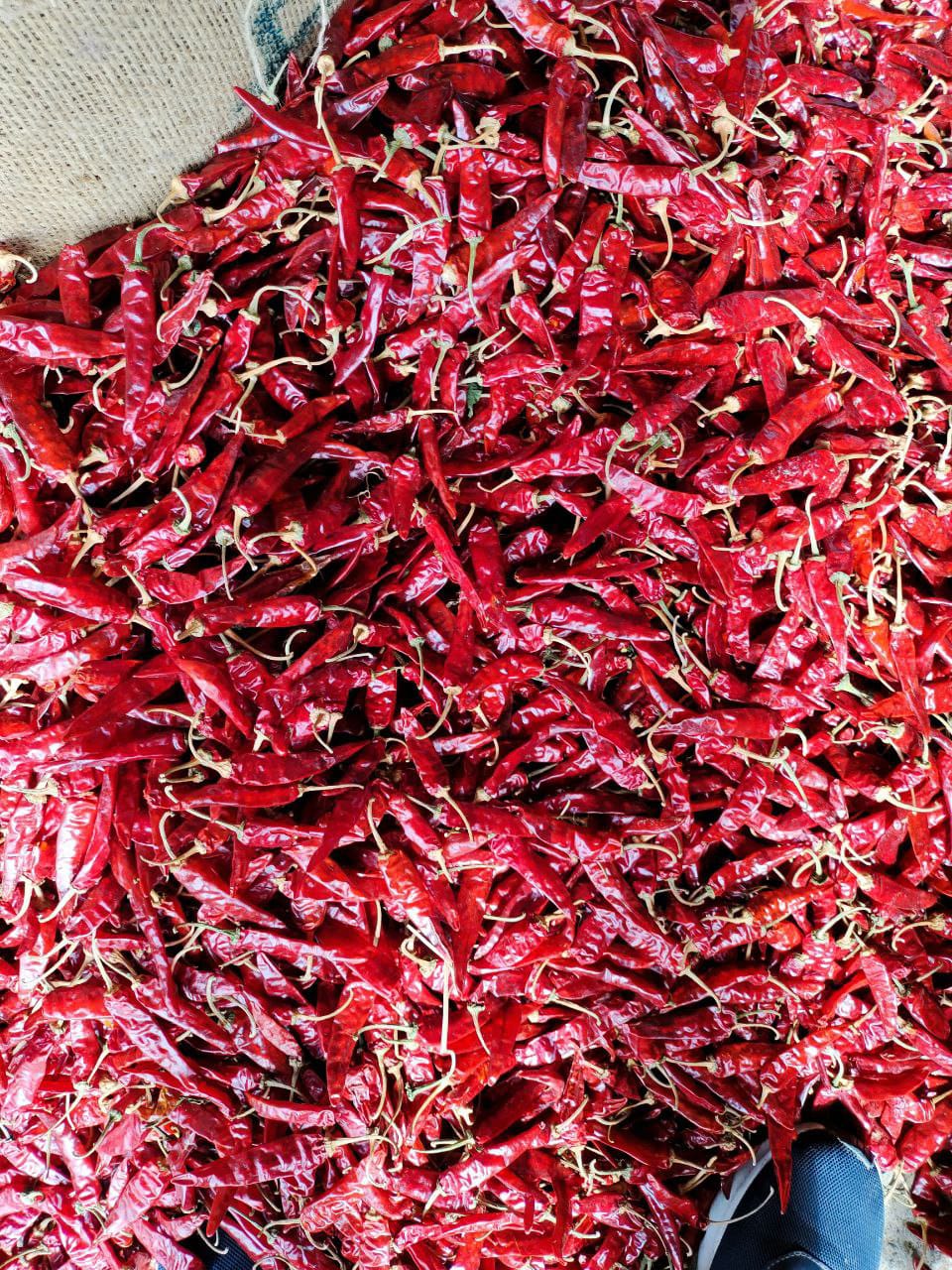 No 5 Dried Red Chilli