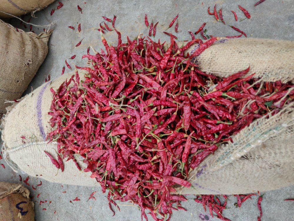 Armoor Dried Red Chilli