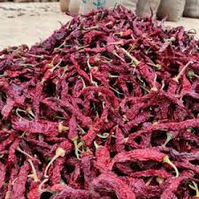Devanur Deluxe (DD) Dried Red Chilli
