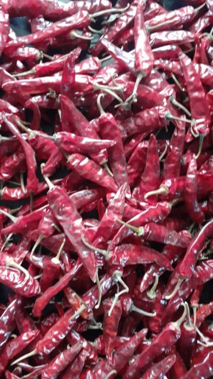 No 5 Dried Red Chilli