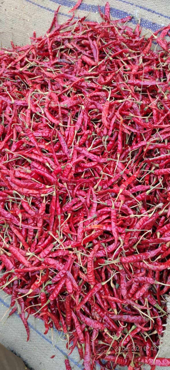 Teja S17 Dried Red Chilli