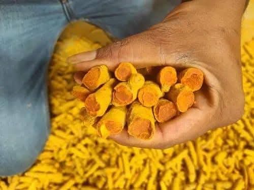 Turmeric